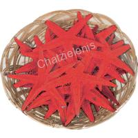 105964 ΚΑΛΑΘΑΚΙ ΑΣΤΕΡΙΕΣ FLAT 25ΤΕΜ.2-3- ΚΟΚΚ.